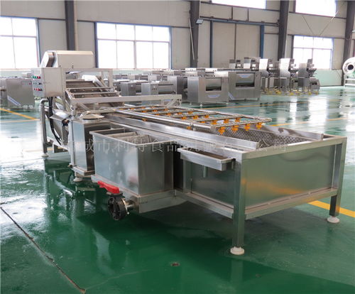 河南地區高壓噴淋蔬菜清洗機選購指南與優質供應商推薦——諸城市利特食品機械