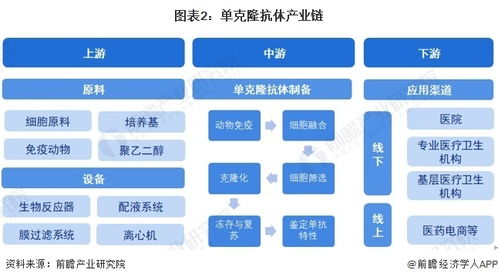 預(yù)見2024 中國單克隆抗體行業(yè)全景圖譜及計算機(jī)軟硬件開發(fā)的融合趨勢